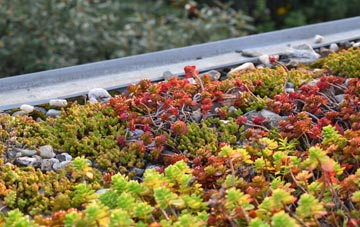 the cost of Fidigeadh green roof installation