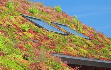 Fidigeadh living roof systems